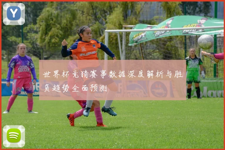 世界杯竞猜赛事数据深度解析与胜负趋势全面预测