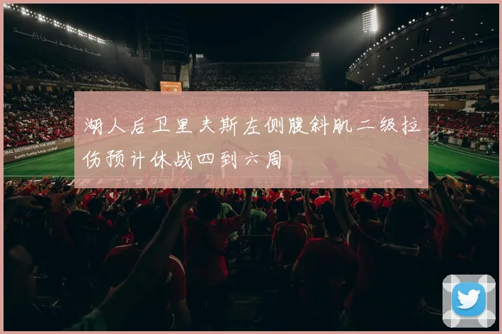 湖人后卫里夫斯左侧腹斜肌二级拉伤预计休战四到六周