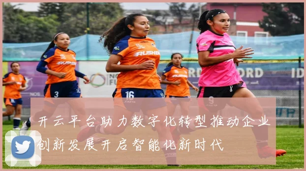 开云平台助力数字化转型推动企业创新发展开启智能化新时代
