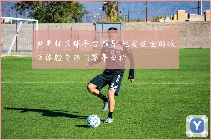 世界杯买球平台推荐 优质安全的投注体验与热门赛事分析