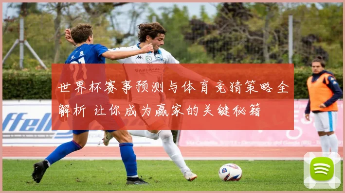 世界杯赛事预测与体育竞猜策略全解析 让你成为赢家的关键秘籍