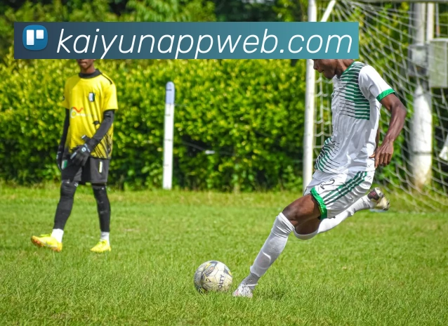 开云平台展示图